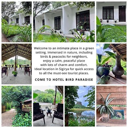 Bird Paradise Hotel Sigiriya Ngoại thất bức ảnh