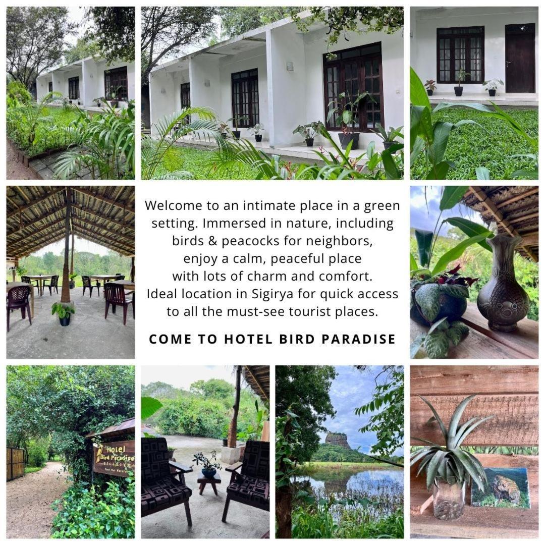 Bird Paradise Hotel Sigiriya Ngoại thất bức ảnh